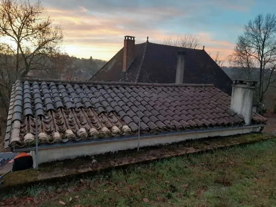 Toiture avant démoussage